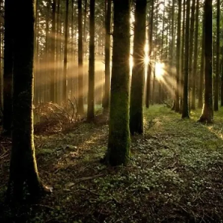 Apartament Montano Illuminato Dalla Via Lattea *