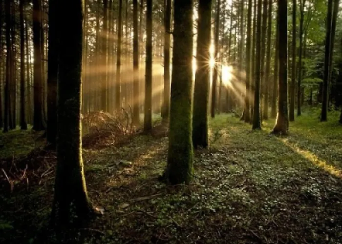 公寓 Montano Illuminato Dalla Via Lattea *